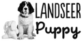 Landseer Puppy - Allevamento landseer - cuccioli italiani con pedigree