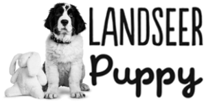 Landseer Puppy - Allevamento landseer - cuccioli italiani con pedigree